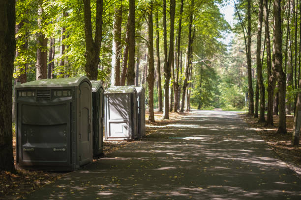 Best Affordable porta potty rental  in Hazel Park, MI